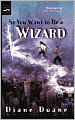 So You Want to Be a Wizard