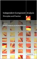 Independent Component Analysis: Principles and Practice