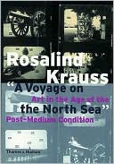 A Voyage on the North Sea: Art in the Age of the Post-Medium Condition