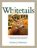 Whitetails: A Photographic Journey Through the Seasons