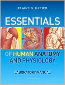 Essentials of Human Anatomy & Physiology Laboratory Manual