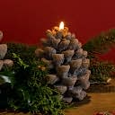 Small Brown Sugared Pinecone Candle by K&K Interiors: Product Image