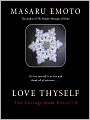 Love Thyself: The Message from Water III