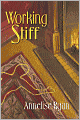 Working Stiff (Mattie Winston Series #1)