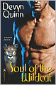 Soul of the Wildcat