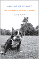 You Had Me at Woof: How Dogs Taught Me the Secrets of Happiness