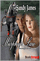 Murphy's Law [Damaged Heroes, Book 1] (Bookstrand Publishing)