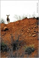Buck Shots