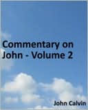 Commentary on John - Volume 1