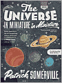 The Universe in Miniature in Miniature