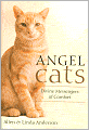 Angel Cats: Divine Messengers of Comfort