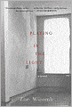 Playing in the Light: A Novel