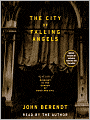 The City of Falling Angels