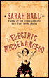 The Electric Michelangelo