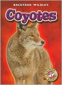 Coyotes