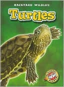 Turtles