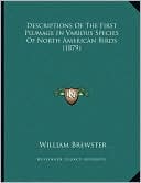 Descriptions Of The First Plumage In Various Species Of North American Birds (1879)