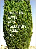 Particles + Waves with Plausibility