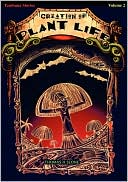 The Creation Of Plant Life