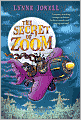 The Secret of Zoom