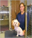 Dog Groomer Grooming Service Start Up Business Plan!