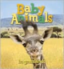 download Baby Animals : In Grasslands book