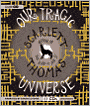Our Tragic Universe
