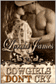 Cowgirls Don't Cry (Rough Riders Series #10)