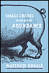 Small Crimes in an Age of Abundance