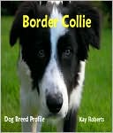 Border Collie Dog Breed Profile