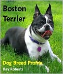 Boston Terrier Dog Breed Profile
