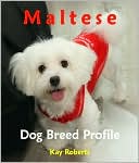 Maltese Dog Breed Profile