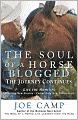 The Soul Of A Horse Blogged - The Journey Continues
