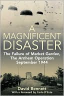 Magnificent Disaster