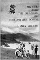 Big Sur and the Oranges of Hieronymus Bosch