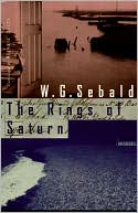 Rings of Saturn