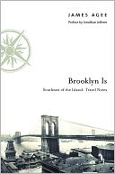 Brooklyn Is: Southeast of the Island: Travel Notes