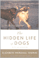 Hidden Life of Dogs