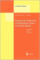 Numerical Treatment of Multiphase Flows in Porous Media: Proceedings of the International Workshop Held at Beijing, China, 2-6 August, 1999
