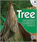 Tree: From Seed to Mighty Forest