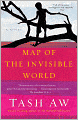Map of the Invisible World