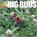 Ed Rosenthal's Big Buds 2012 Calendar