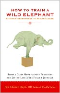 How to Train a Wild Elephant: And Other Adventures in Mindfulness