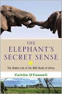 The Elephant's Secret Sense: The Hidden Life of the Wild Herds of Africa