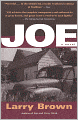 Joe: A Novel