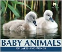 Baby Animals of Lakes and Ponds