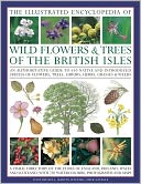 The Illustrated Encyclopedia of Wild Flowers & Trees of the British Isles: An authoritative guide to 650 native and introduced species of flowers, trees, shrubs, herbs, grasses & weeds