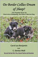 Do Border Collies Dream Of Sheep? Full Color Edition