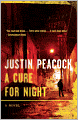 A Cure for Night: A Novel