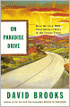 On Paradise Drive: How We Live Now (and Always Have) in the Future Tense